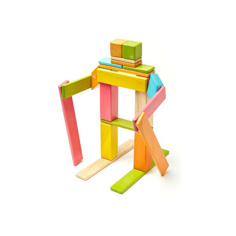 Piezas Magneticas Tegu 24 Piezas