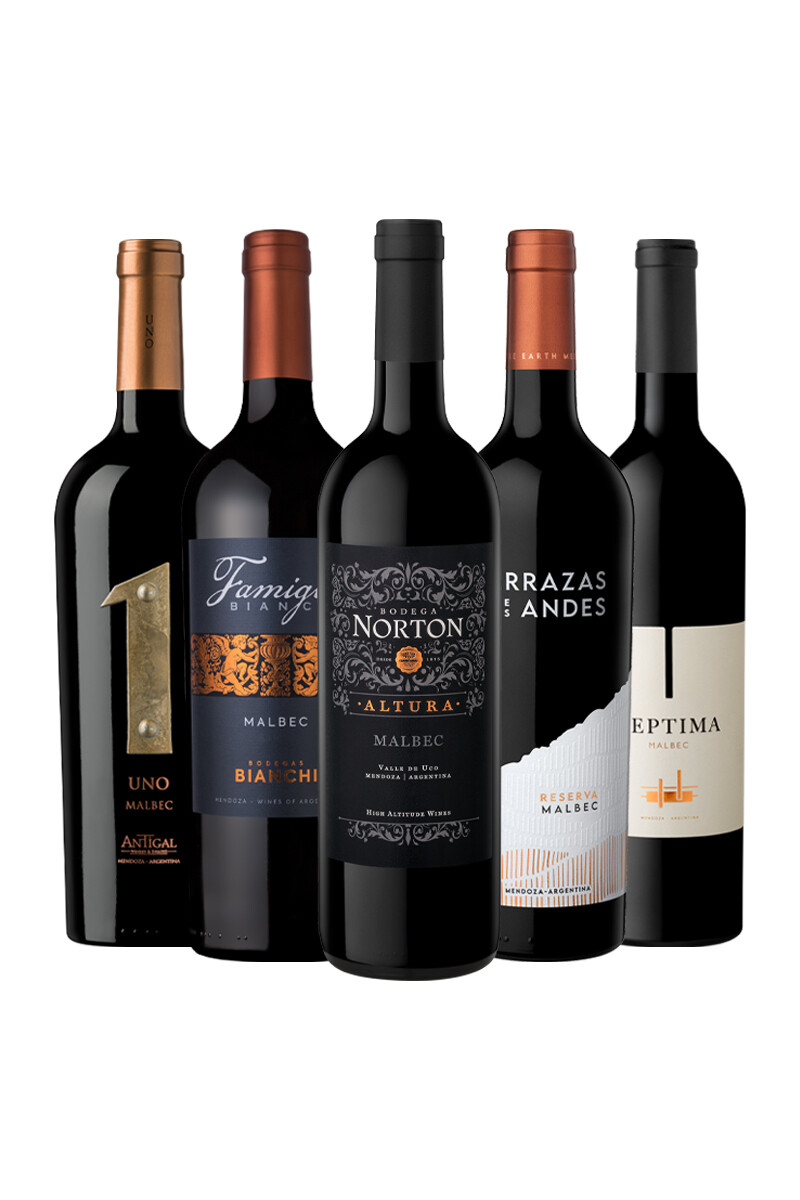 Pack Selección Farewell to Frost x6 vinos Malbec - La variedad más elegida 