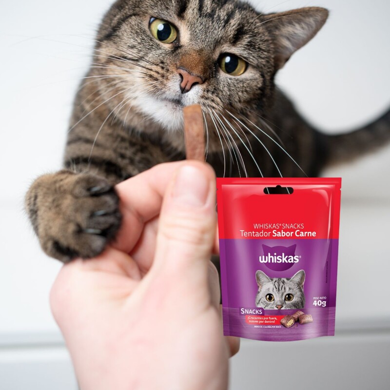 WHISKAS SNACKS CARNE 40 GRAMOS