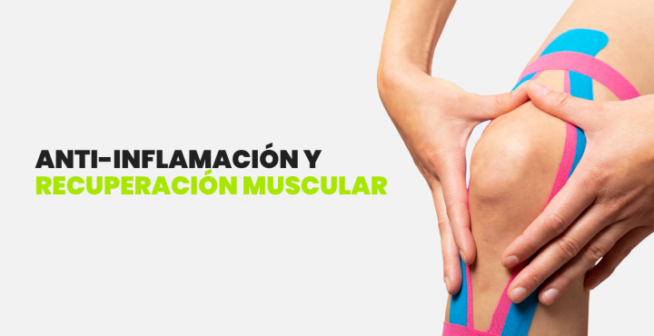 Anti-inflamación y recuperación muscular