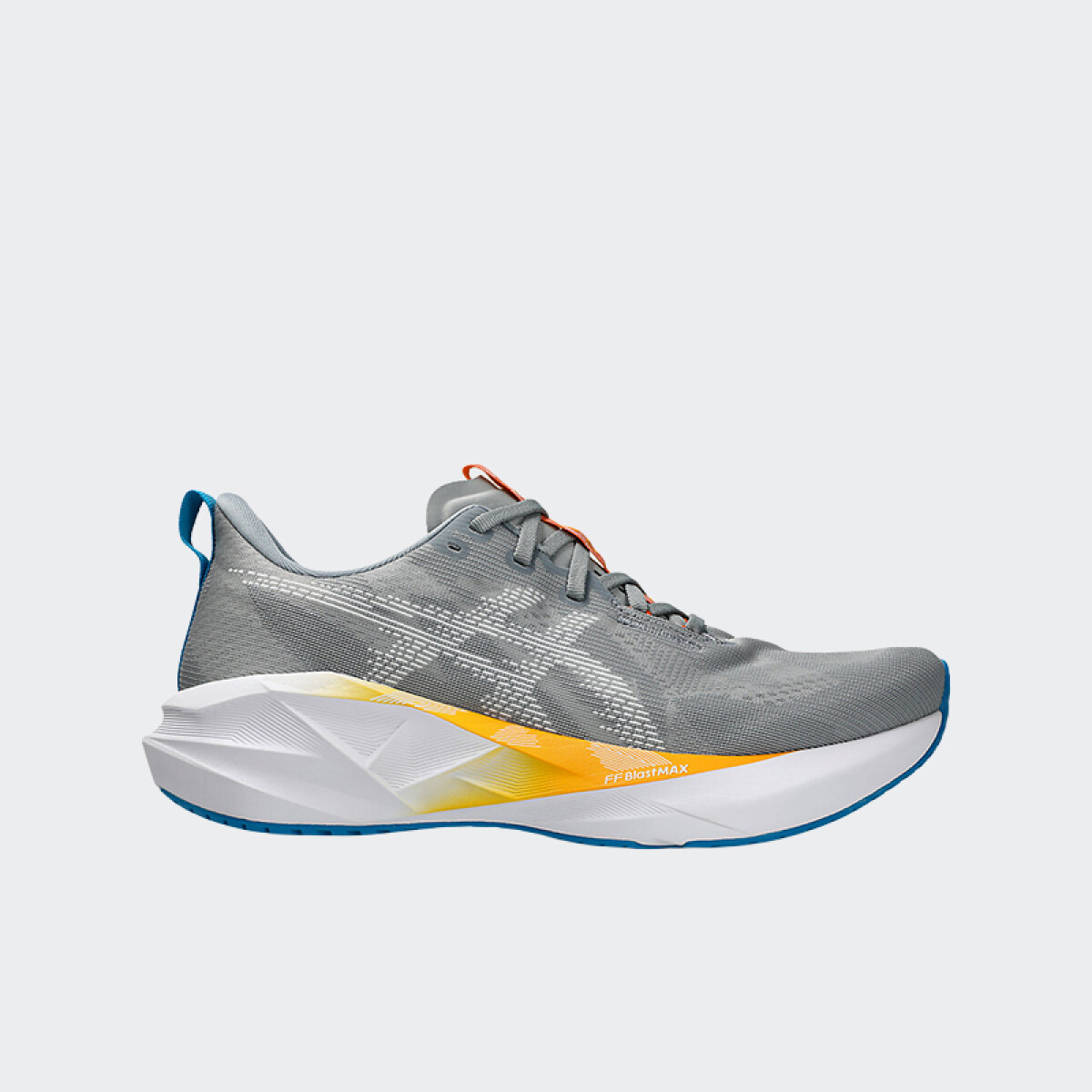 Championes Asics Novablast 5 - Gris 