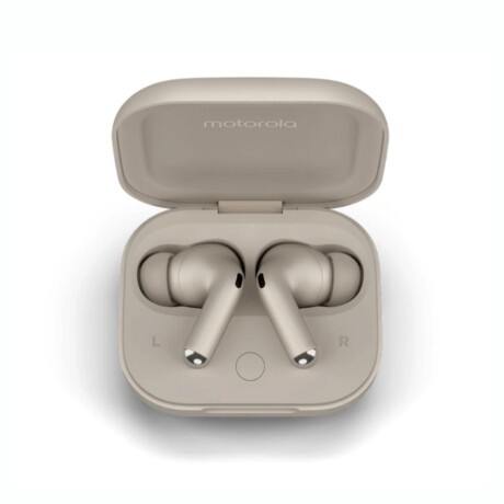 AURICULARES BLUETOOTH MOTOBUDS + Auriculares Inalámbricos MOTOROLA Motobuds + BT Cancelación De Ruido - Gris