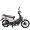 Moto Dirty St 110cc Pollerita Blanco