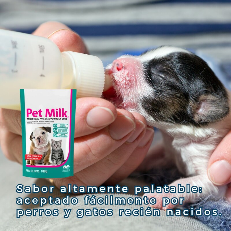 PET MILK SUSTITUTO LECHE MATERNA DE 100 GRAMOS PET MILK SUSTITUTO LECHE MATERNA DE 100 GRAMOS