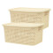 Set x2 Caja simil ratán 4 lts 26,7x18x12cm BEIGE