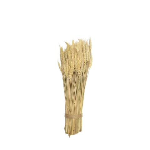 RAMO TRIGO 30CM NATURAL RAMO TRIGO 30CM NATURAL