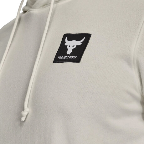 BUZO UNDER ARMOUR PROJECT ROCK TERRY Beige