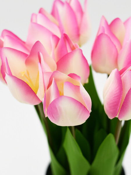 PLANTA TULIPAN C/MACETA ROSA CLARO