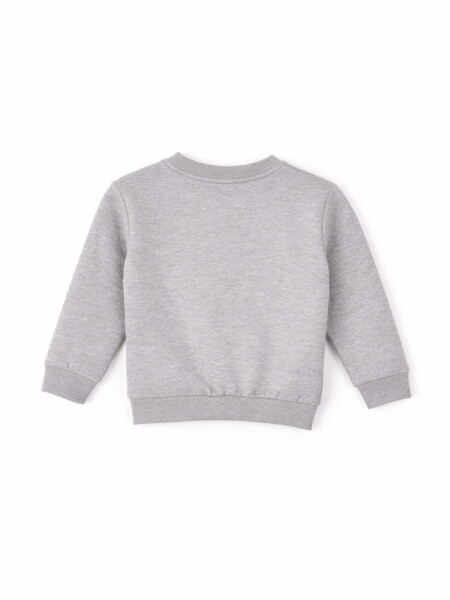 BUZO HARRY III PACK X 2 VERDE