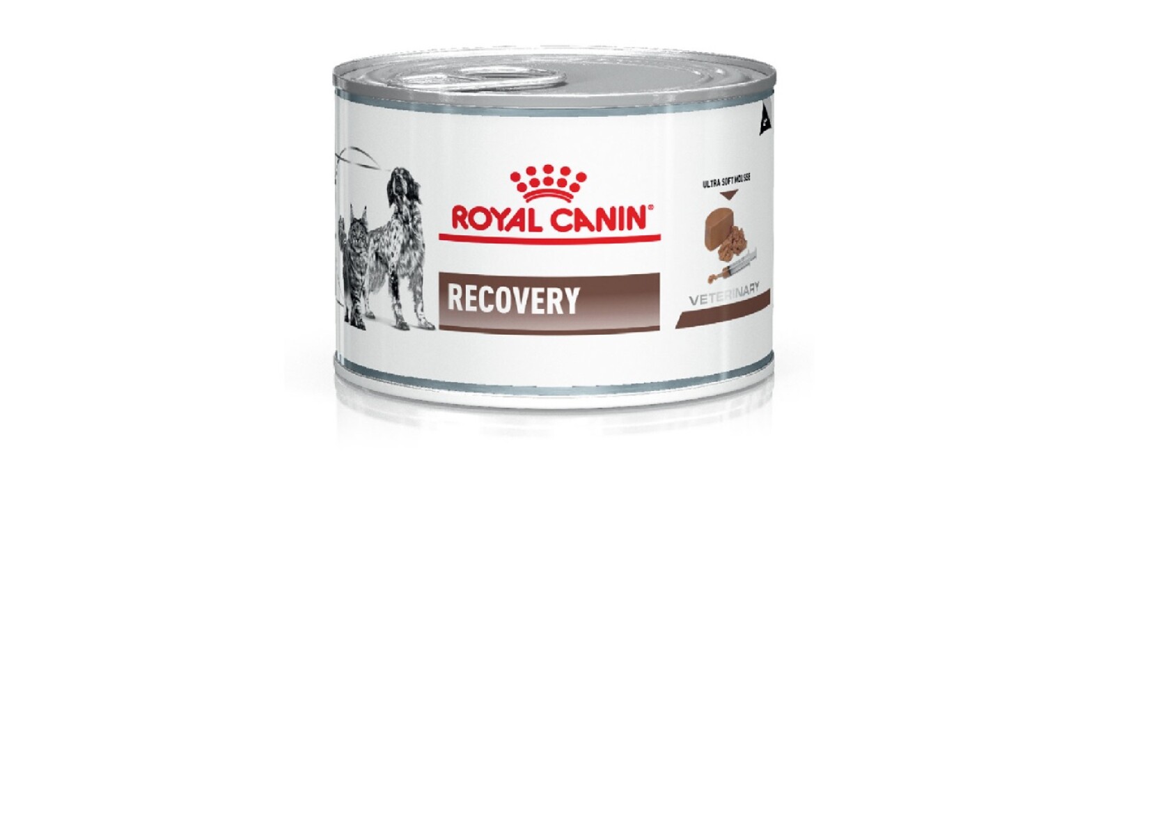 Royal Canin Perro Y Gato Recovery 195 Grs Lata 