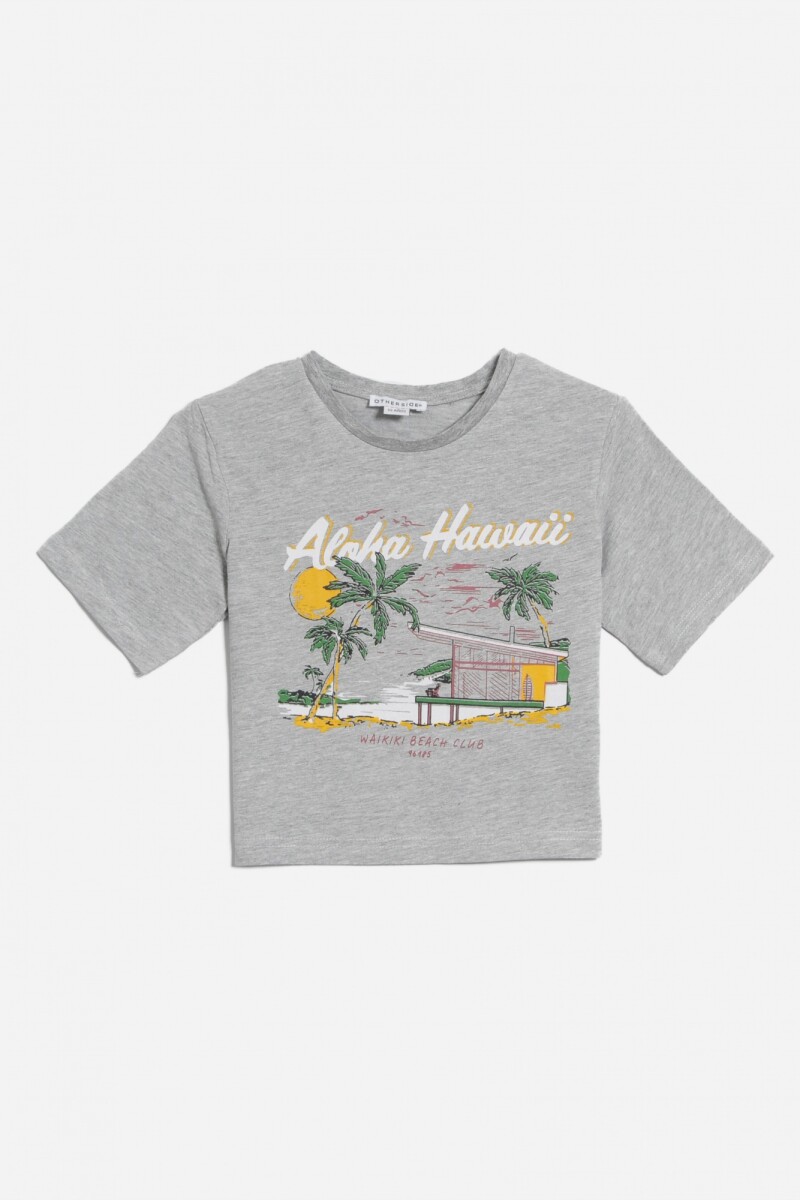 Remera estampada - Gris 