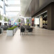 Porcelanato Marfil Escovado Rectificado 60X60Cm Piso Pared GAMAS DE BLANCO