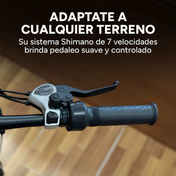 Bicicleta Electrica Gogreen Compact Plegable Rod 20 250w 36v Variante Color Negro
