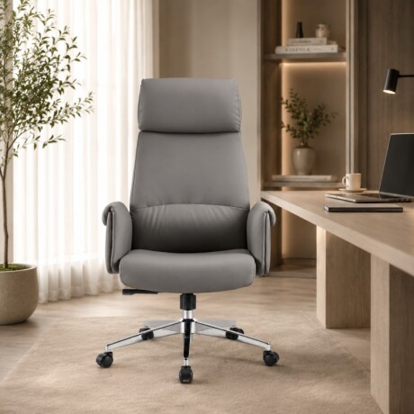 Silla De Director Vison U