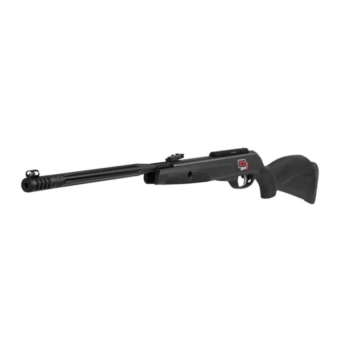 Chumbera gamo whisper maxxim igt cal 5.5 