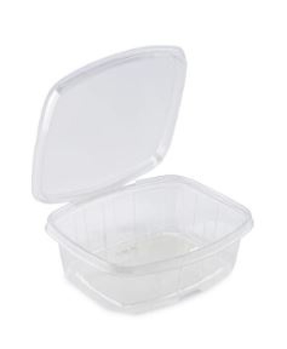 POTE BISAGRA PET RECTANGULAR CON LACRE 710 ML 18,3 x 15,5 x 5 CM 