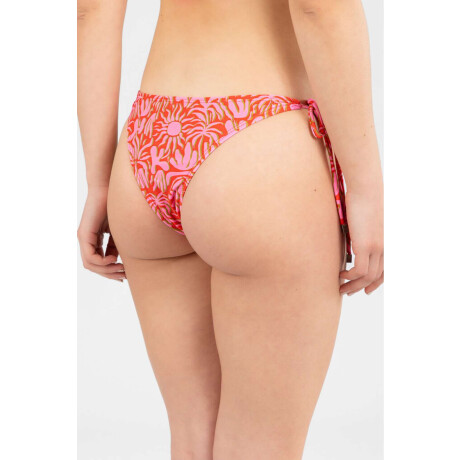 Colaless ostia est. Here comes the sun