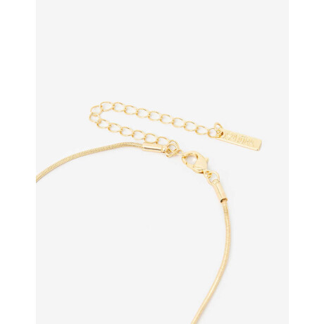 Collar Largo Con Anillo Dorado