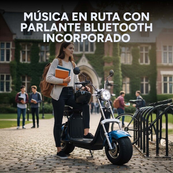Moto Electrica Gogreen Deluxe 1500W 16Ah 30Km Autono. 45Km/h Color Variante Azul