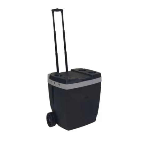 Conservadora Térmica 42 Lts Con Ruedas Y Manija Playa Mor Negro