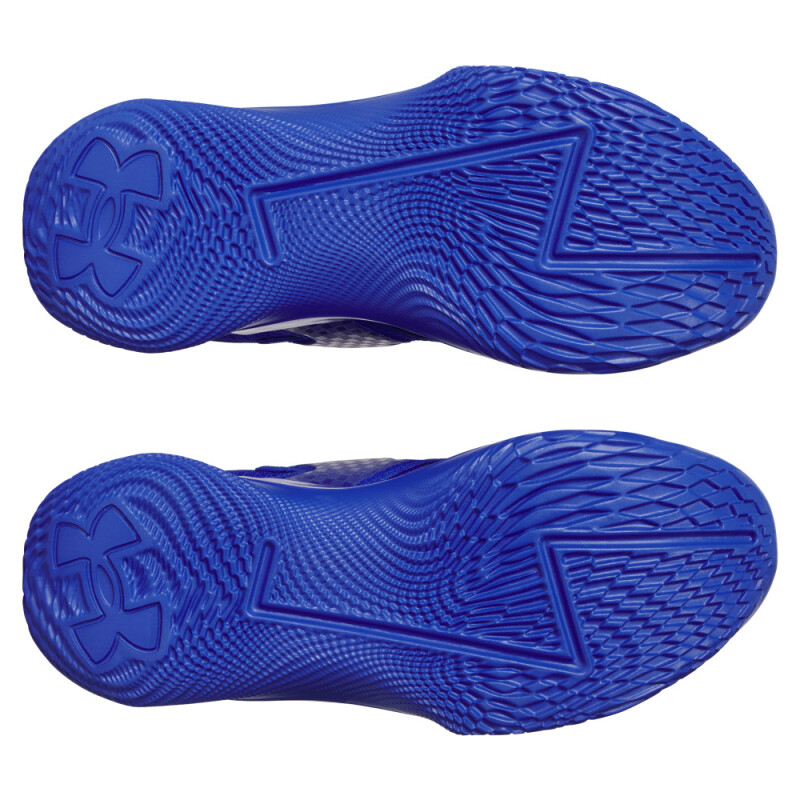 CURRY FOX 1 KW-BLU BLU-400