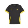 Camiseta Puma Teamgoal Matchday Black & Yellow