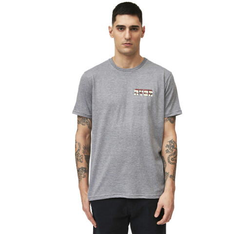 REMERA PORTAL Gris