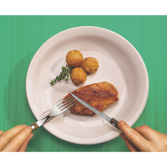 Cuchillo con mango de madera, modelo TRADICIONAL, 12 piezas-TRAMONTINA TN8205