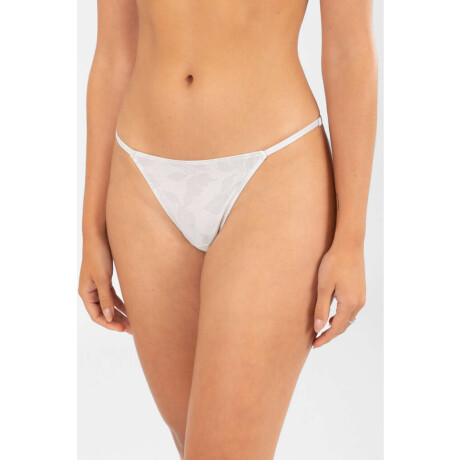 Colaless tiritas verbena Blanco