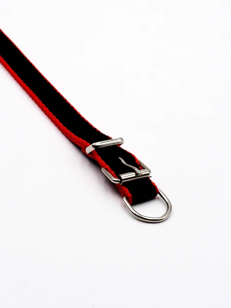 COLLAR COLORES 2 X 52CM NEGRO