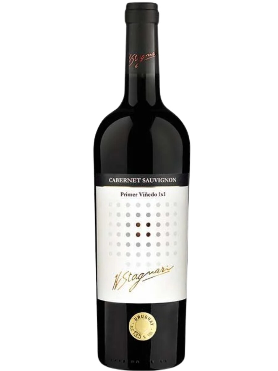 Primer Viñedo 1×1 Cabernet Sauvignon 