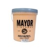 PINTURA INTERIOR EXTERIOR COLOR MAYOR 4LT MAYORCRYL Salmon