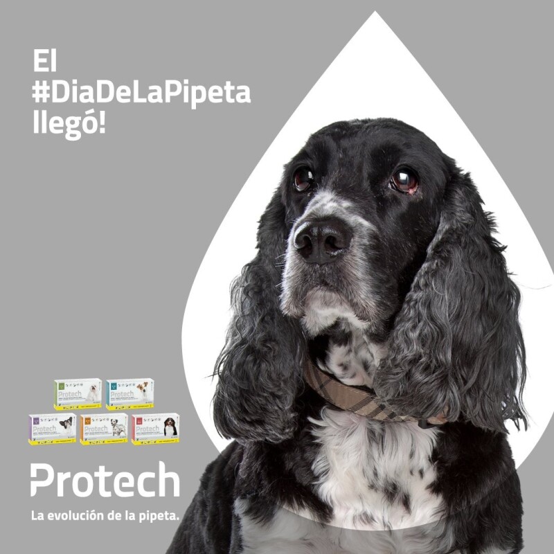 PROTECH PIPETA ANTIPULGAS Y GARRAPATAS CON ACCIÓN AMBIENTAL PARA PERROS DE 1 A 4 KG