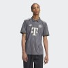 Camiseta Adidas Bayern 24/25 Wiesn Gris