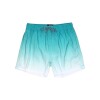 Short Zoo York Microfibra Verde