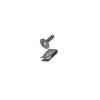 KIT TORNILLO GRAMPA PARA CHAPA UNIVERSAL Kit Tornillo Grampa Para Chapa Universal