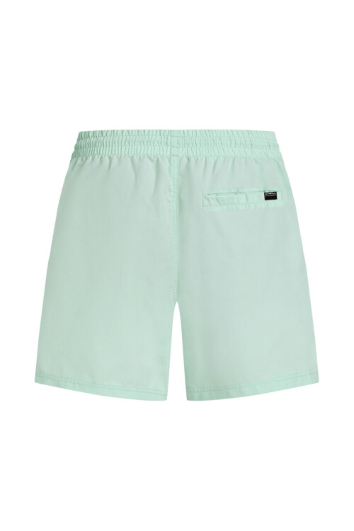 Short O'Neill Swim Trunk Verde