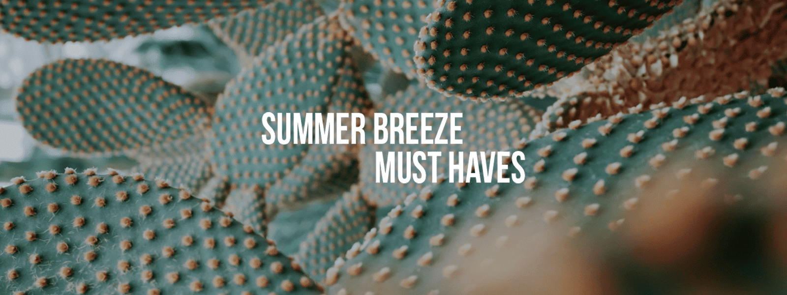 HF2 | SUMMER BREEZE - KEY ITEMS