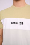 Remera estampada Verde