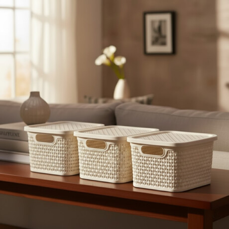 Set x3 Caja simil ratán 2,5 Lts BEIGE