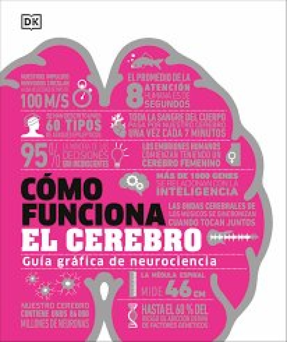 COMO FUNCIONA EL CEREBRO 