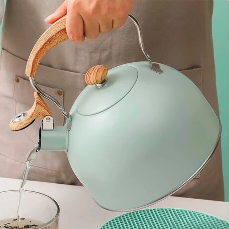 Pava Caldera Sonifer 2.5l Silbato Acero Inoxidable Inducción Verde