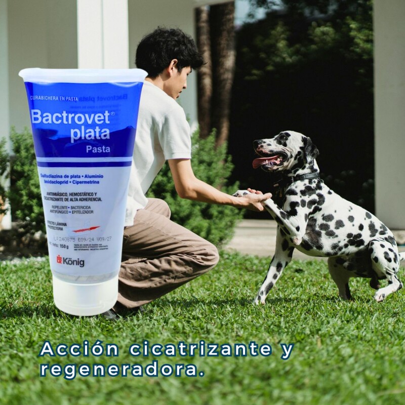BACTROVET PLATA CURABICHERA PASTA 150 G BACTROVET PLATA CURABICHERA PASTA 150 G
