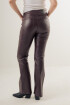 Oxlit Brownie