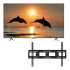 Smart Tv Tcl 75p8k 75" 4k + Soporte PK TV TCL 75P8K + SOPORTE FIJO TV