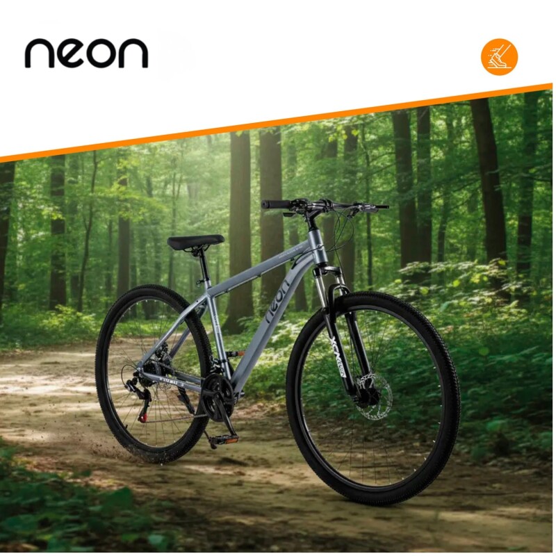 Bicicleta Montaña 26 Cuadro Aluminio Freno Disco 21 Cambios Gris