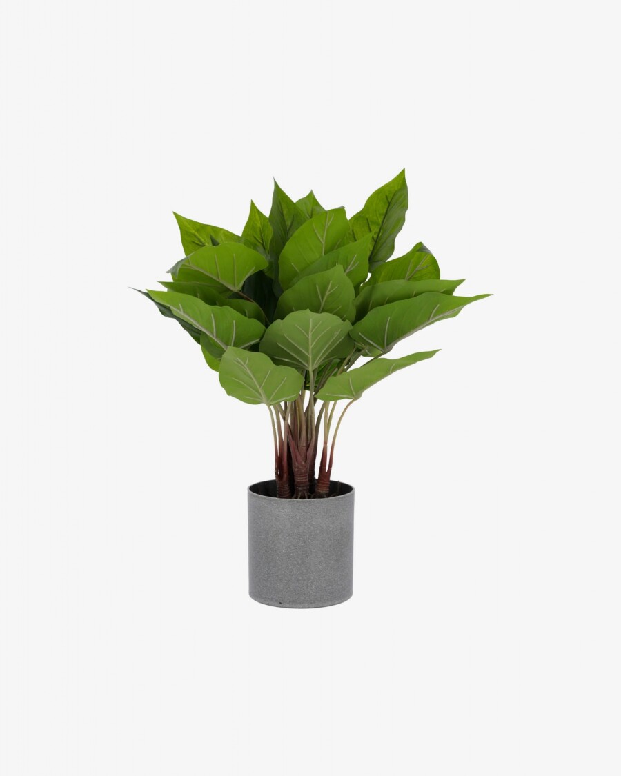 Planta artificial Anthurium con maceta de cemento 50 cm Planta artificial Anthurium con maceta de cemento 50 cm