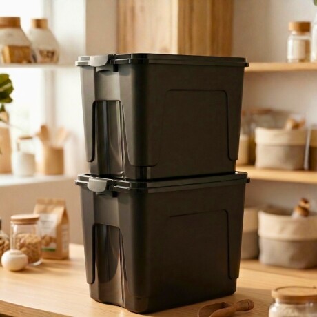 Set x2 Caja organizadora 40lt NEGRO
