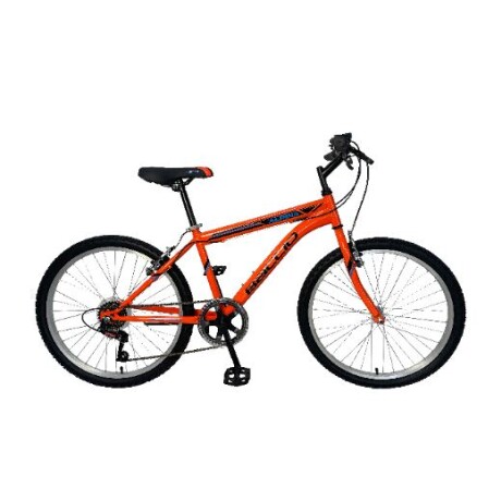Bicicleta Baccio Alpina Man 24 Bicicleta Baccio Alpina Man 24