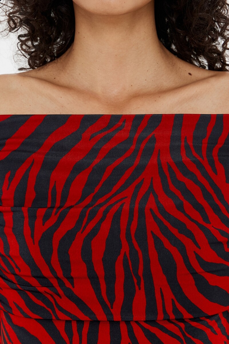CAMISETA Cebra